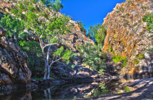 LimmenNPButterflyGorge_HDR1