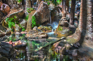 ElQuestro_ZebedeeSprings_HDR1